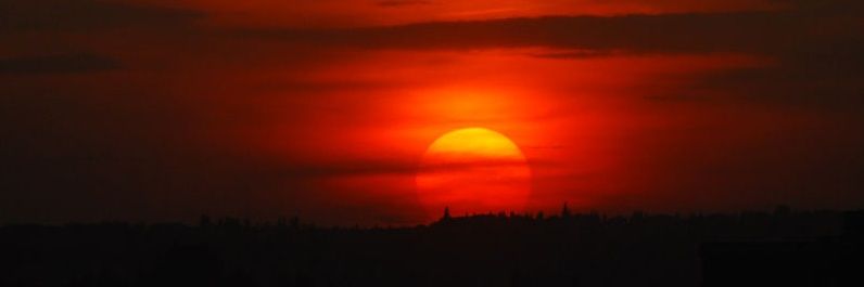 AndrewMickus's profile banner image