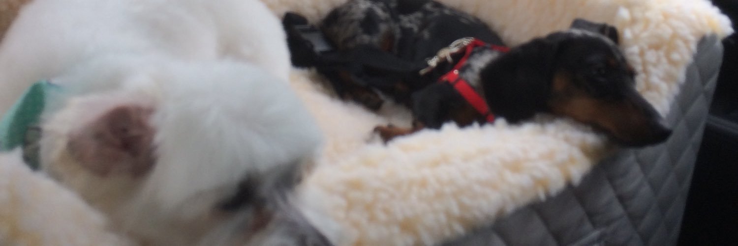booker177's profile banner image