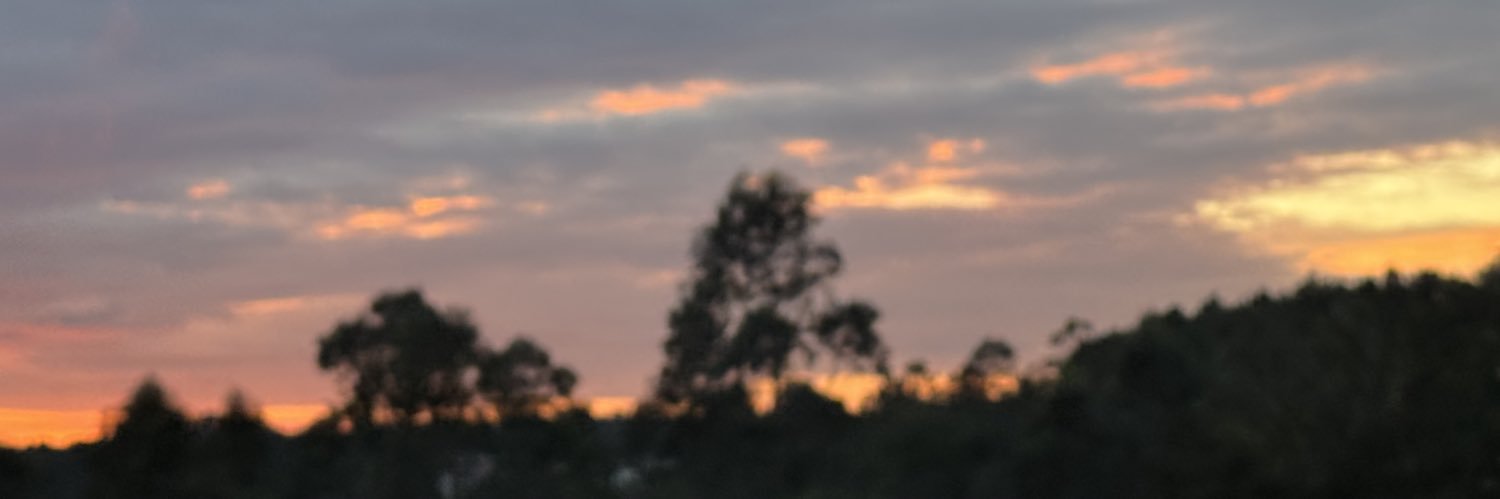 cristinalii's profile banner image