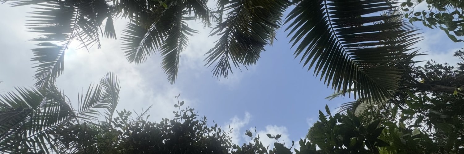 pfv97_'s profile banner image