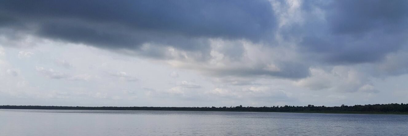 ianerbyn's profile banner image