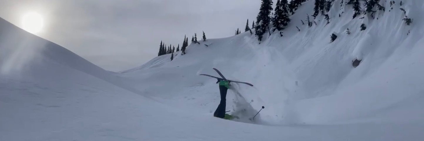 cartertimbel's profile banner image