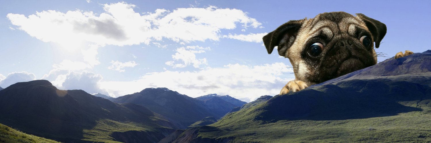stffkyl's profile banner image