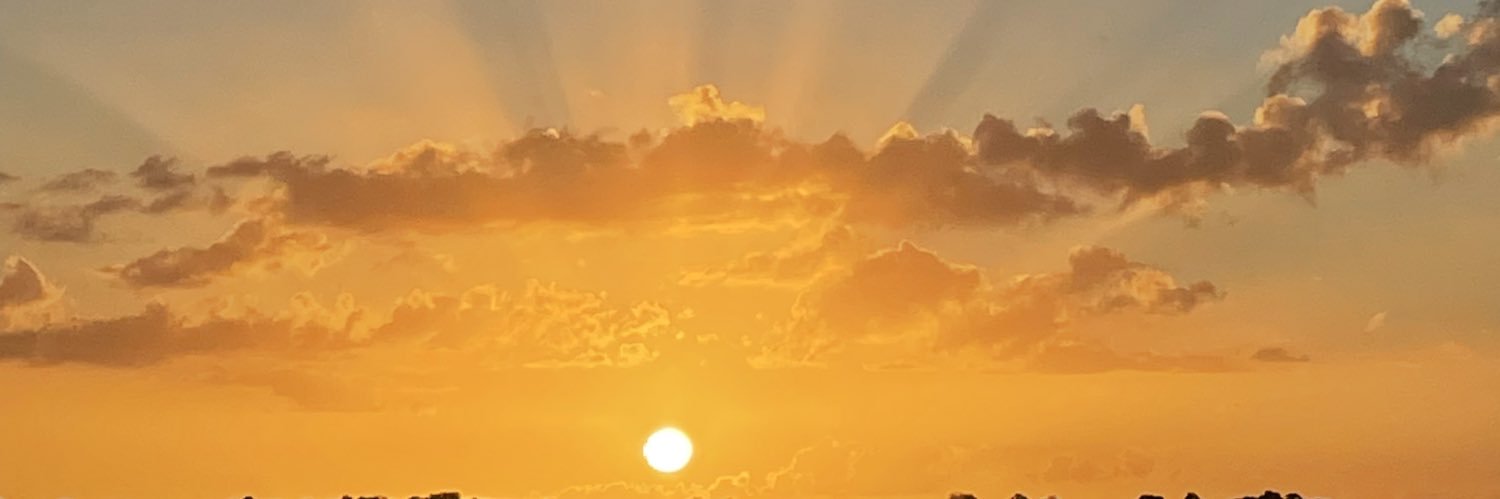 Queen_B133's profile banner image