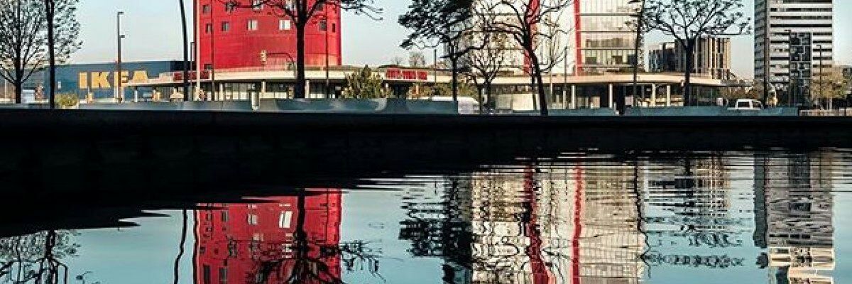 M.Angeles Sariñena Hidalgo banner