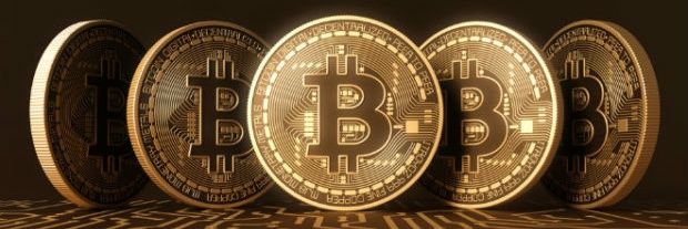 nft_crypto_1s's profile banner image