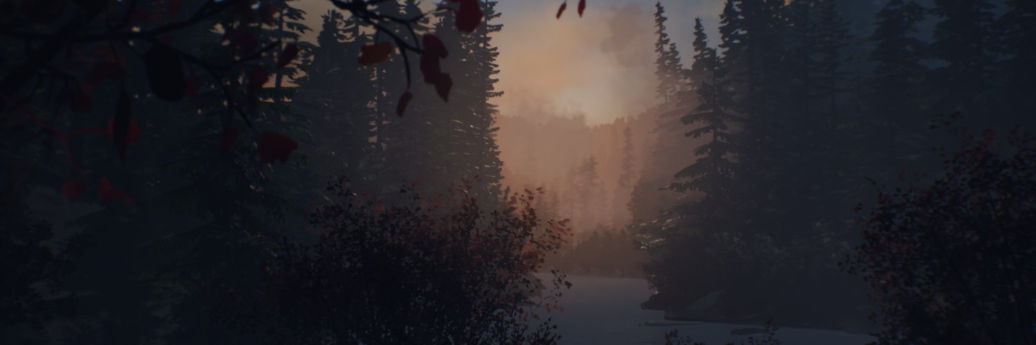 doshwopitout's profile banner image