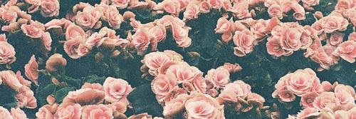 MindlessBeautyy's profile banner image