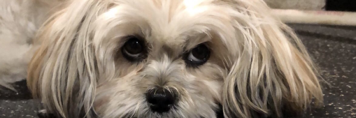 gmattio_'s profile banner image