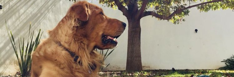 epelos's profile banner image
