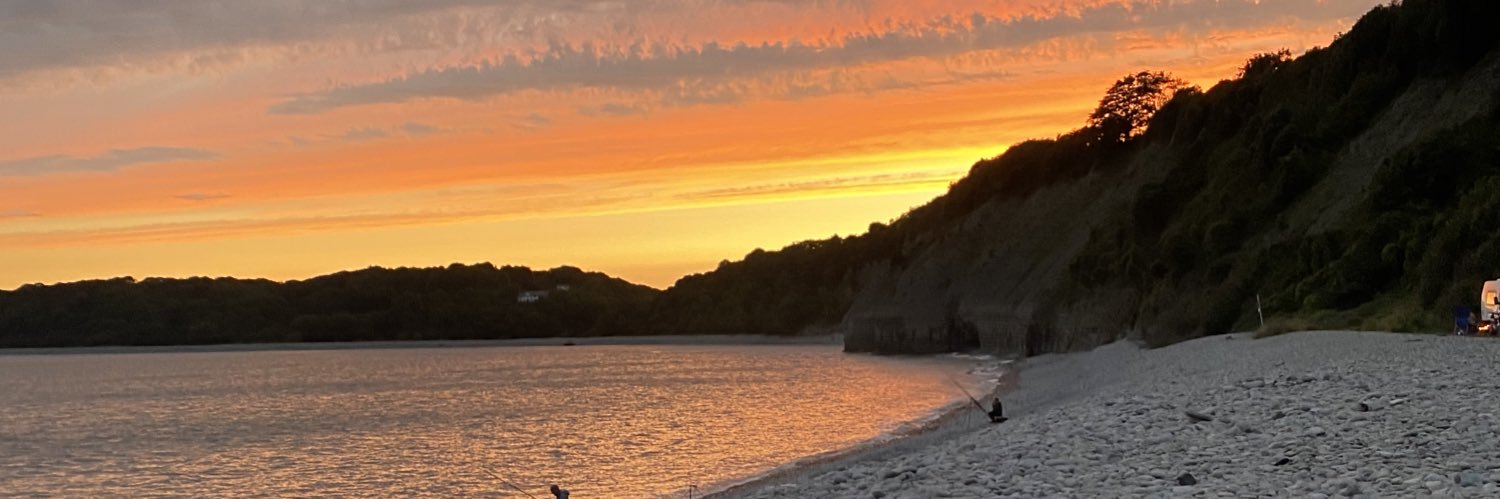 MacyTierneyx's profile banner image