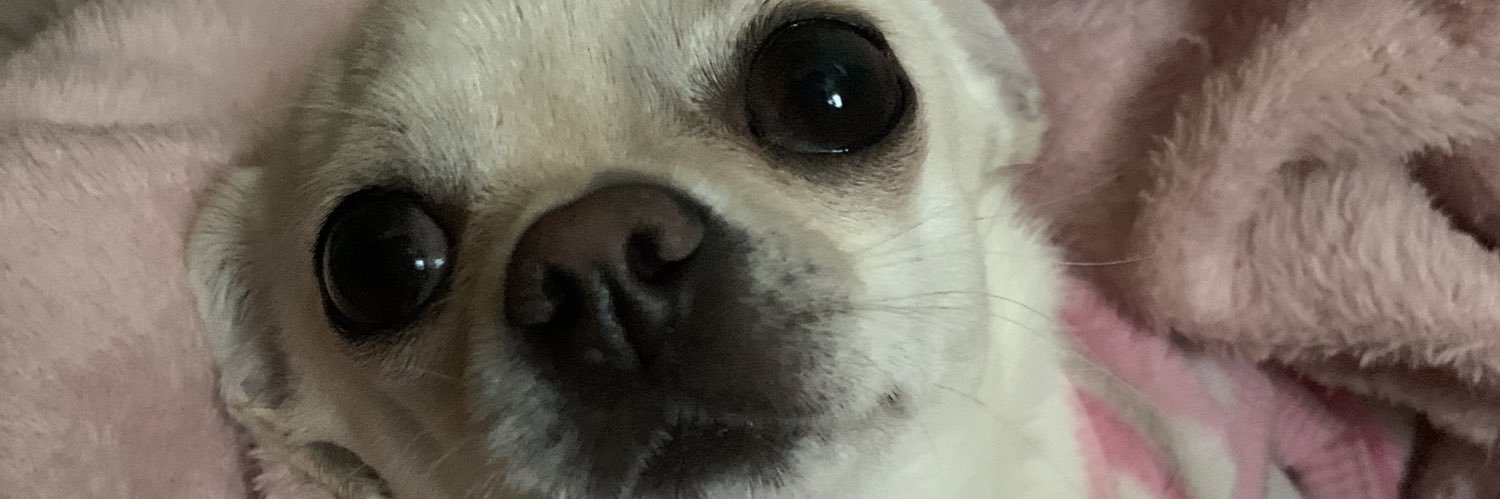 helly_blue's profile banner image