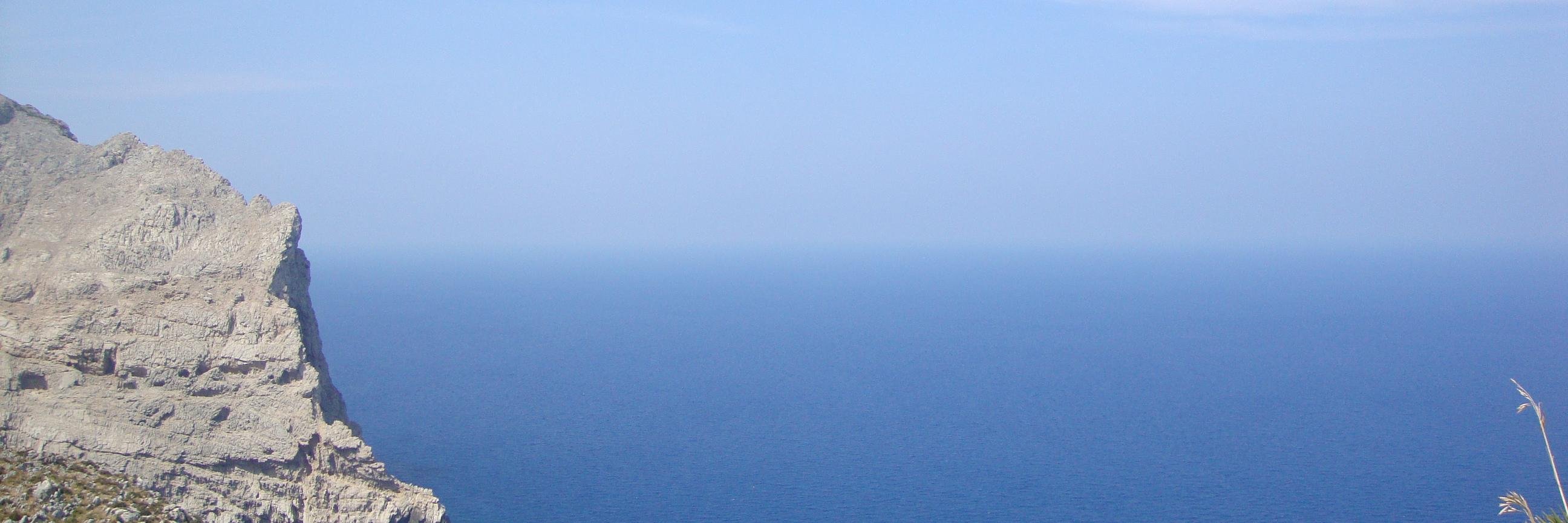 berbranchesi's profile banner image