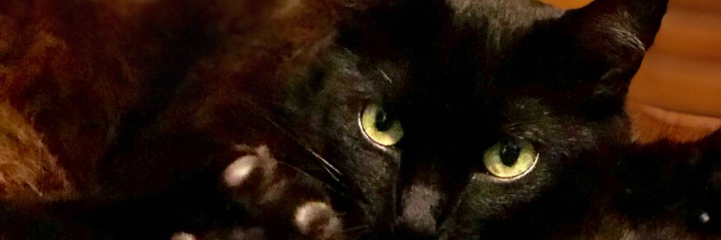 chinosanchez93's profile banner image