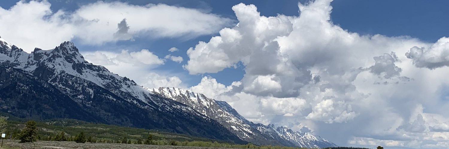 mewhitty13's profile banner image
