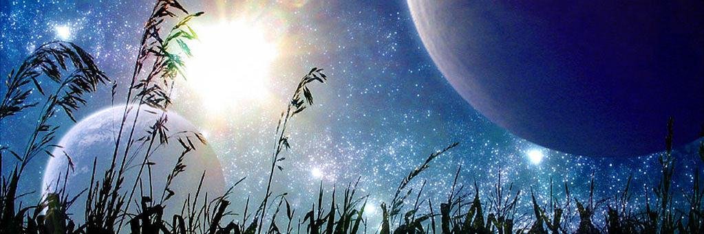 AliceCulle_RBL's profile banner image