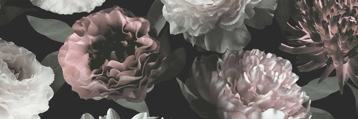 Stephie_Ramirez's profile banner image