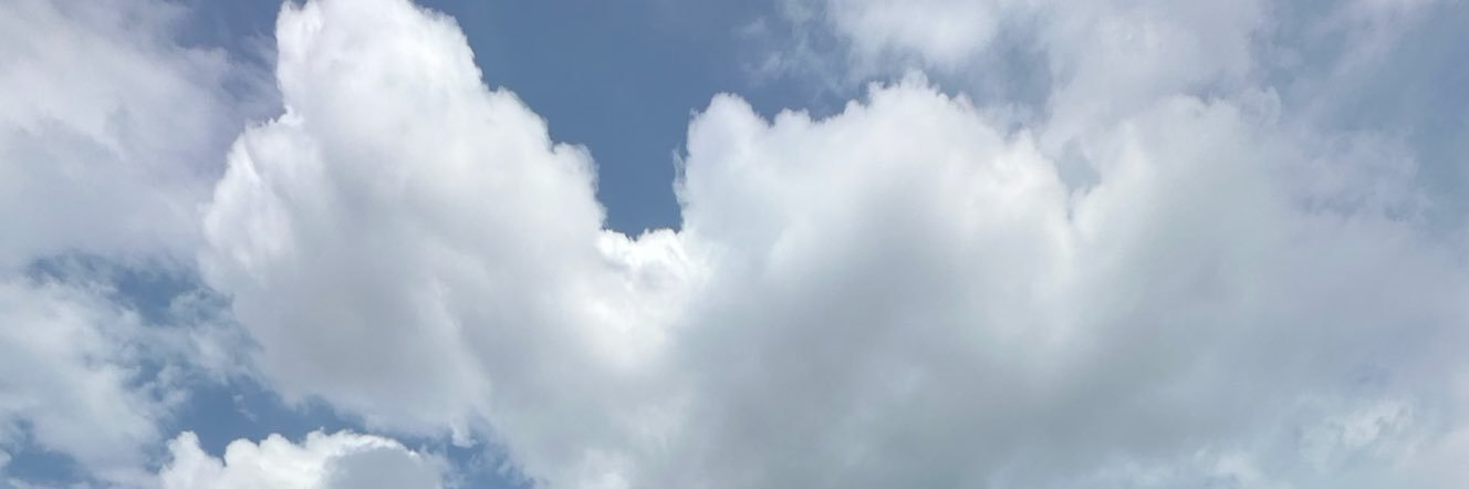 itsyara_'s profile banner image