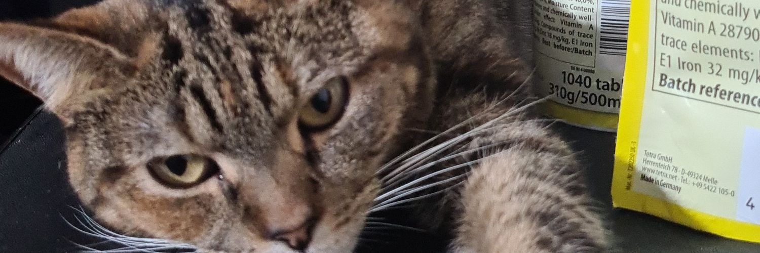 AnnaJones74's profile banner image