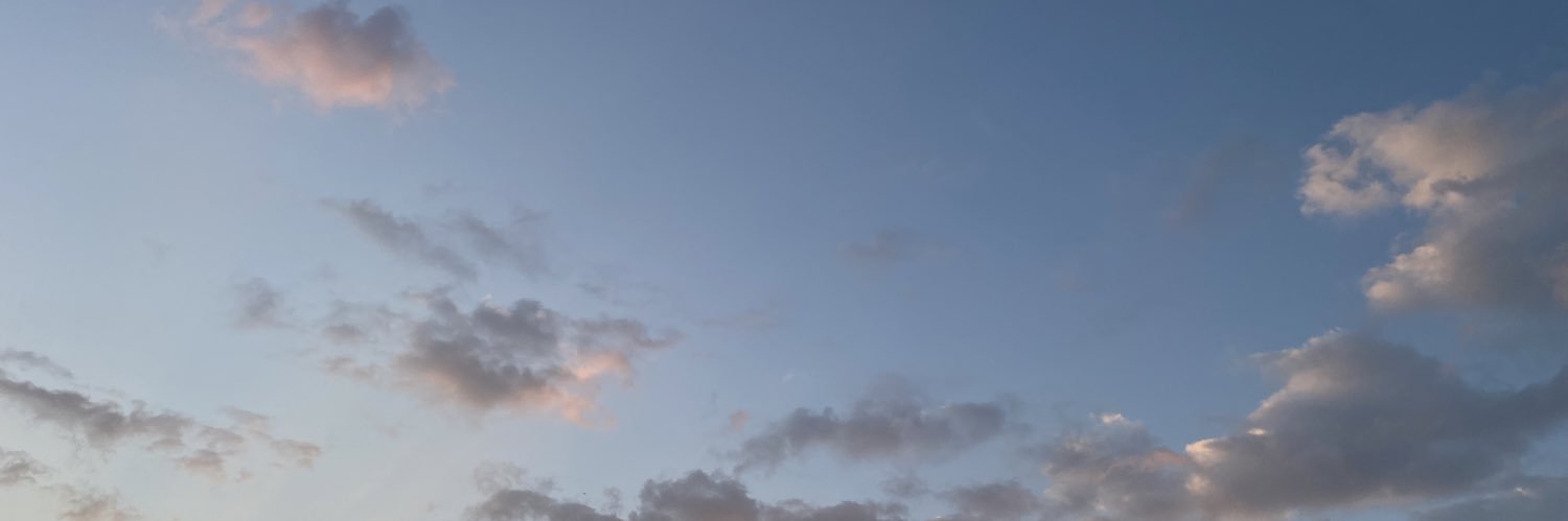 trashyytrish's profile banner image