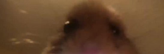 GN_408's profile banner image