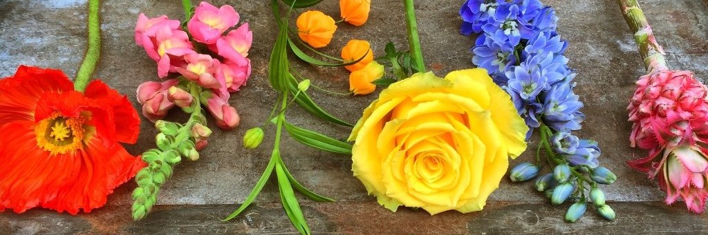 Hortus Flora banner