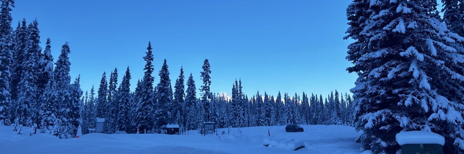 adee705's profile banner image