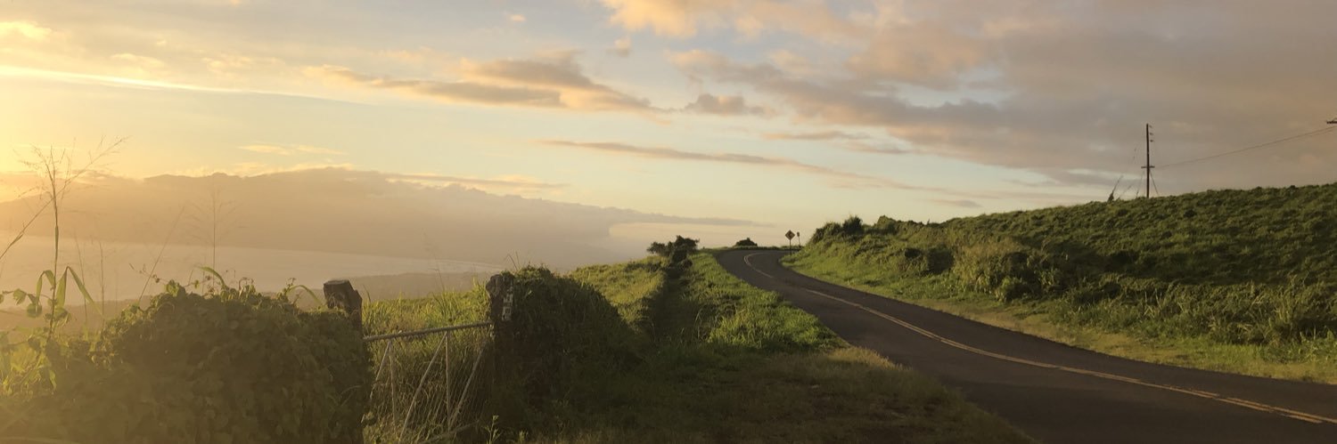 MacCoanPalm's profile banner image