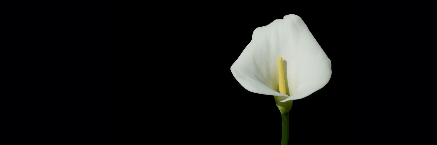 Avash2014's profile banner image