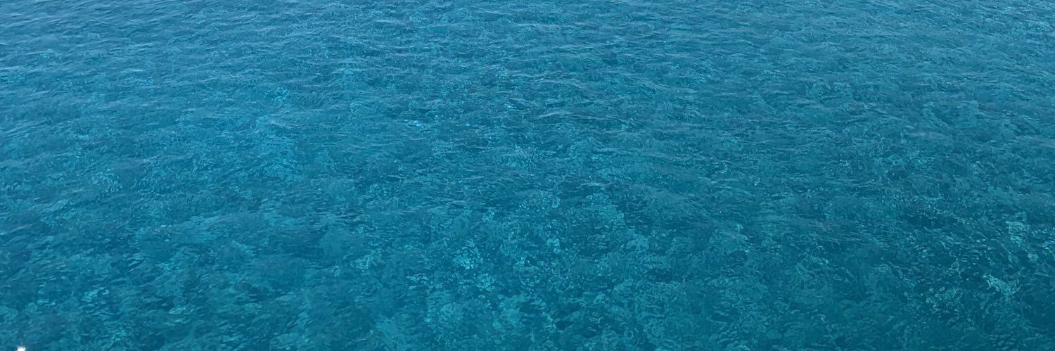 SPWDK_'s profile banner image
