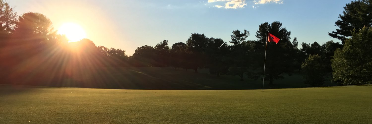 bign00dles's profile banner image