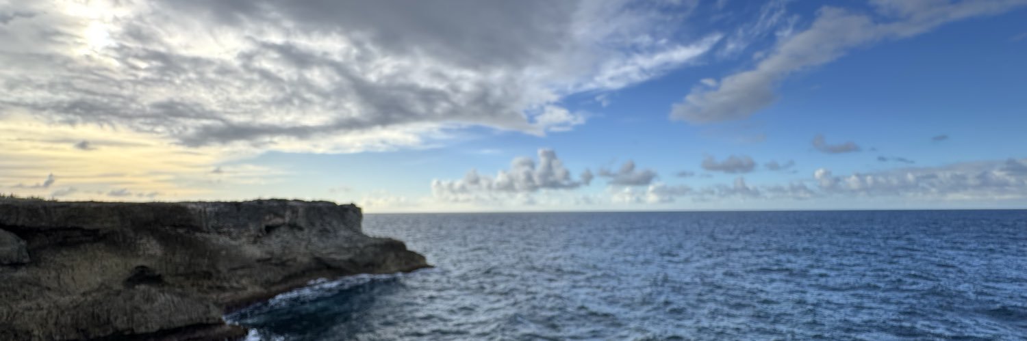 dextermusgrave's profile banner image