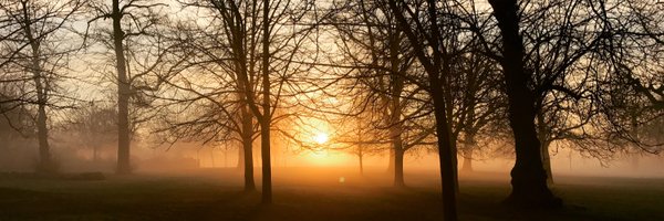 NodeRunner2099 Profile Banner