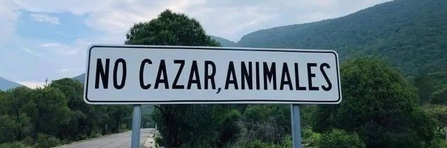 minha opinião ñ importa banner