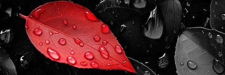 StreetBob_HD's profile banner image
