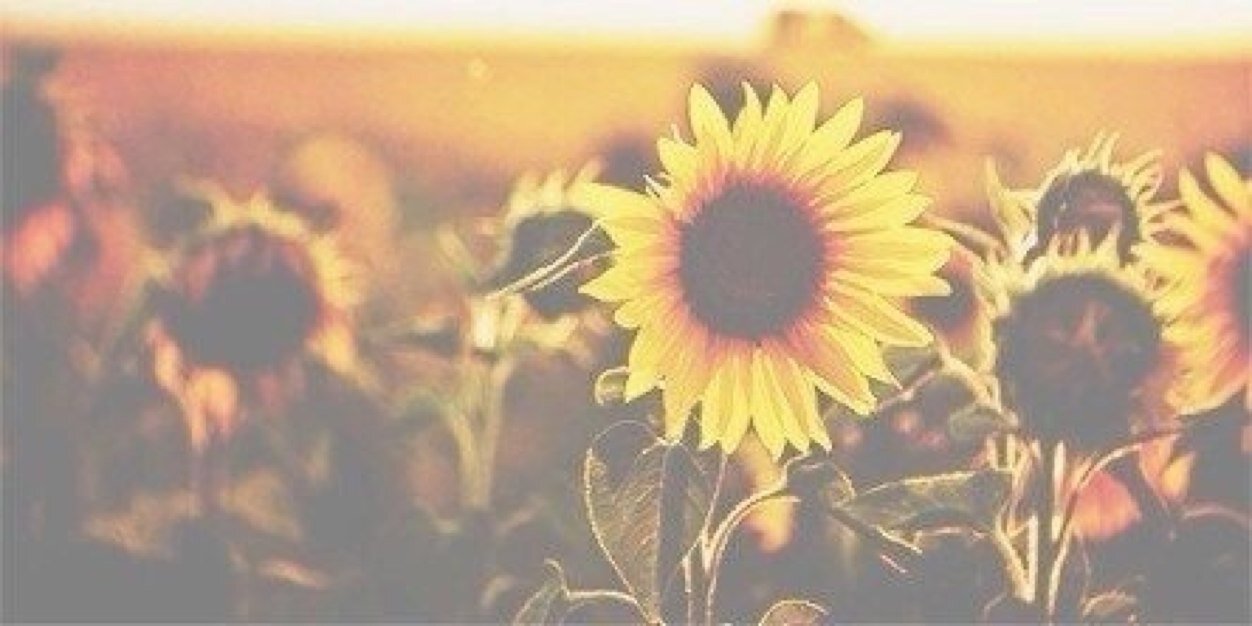 gomoashton's profile banner image