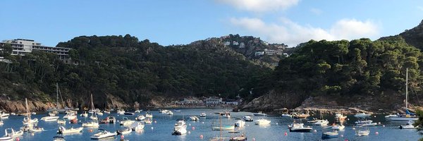 xavidachs Profile Banner