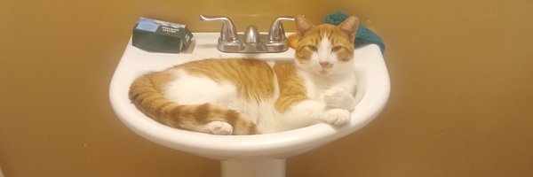 TheGreenyTea Profile Banner