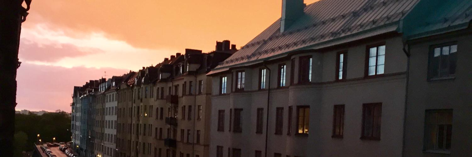 regnellouise's profile banner image