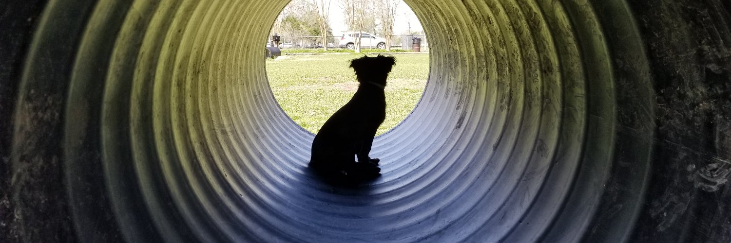 RogerSullivanNO's profile banner image