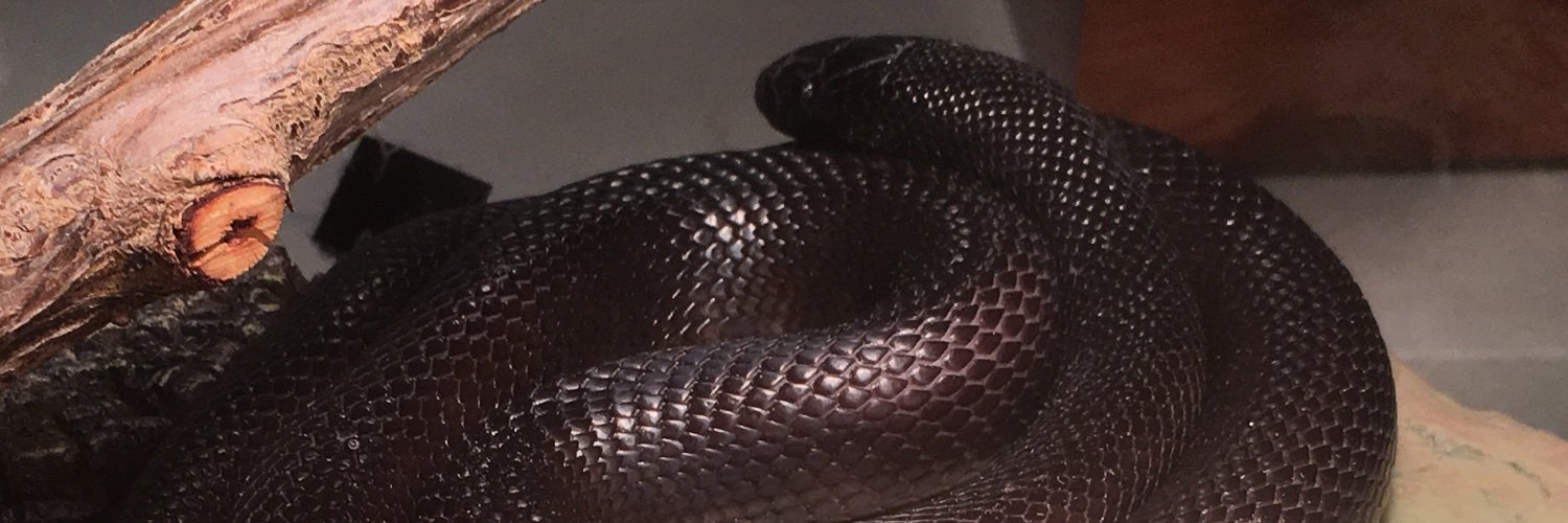 Chaz Alexander banner