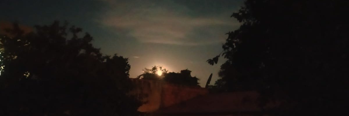 giseleidro's profile banner image