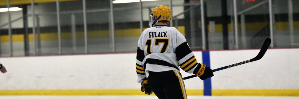 Matt Gulack banner