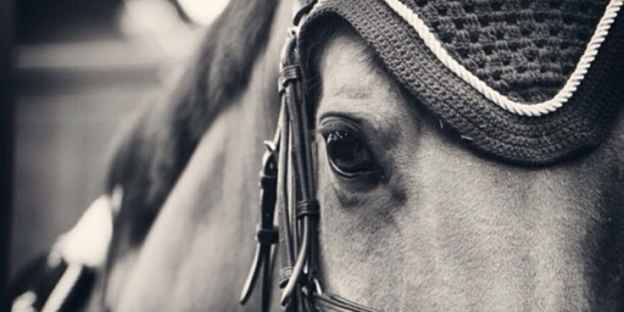 criee21's profile banner image