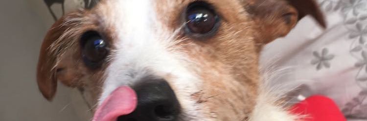 Lia_ferrieee's profile banner image
