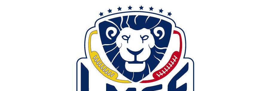 AmazonasFFCVzla's profile banner image