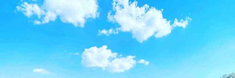 Lariisilvaa_'s profile banner image