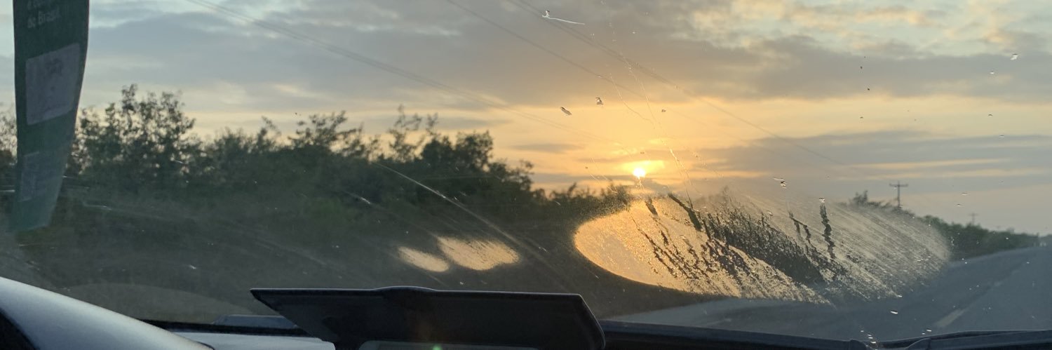 bielycosta's profile banner image
