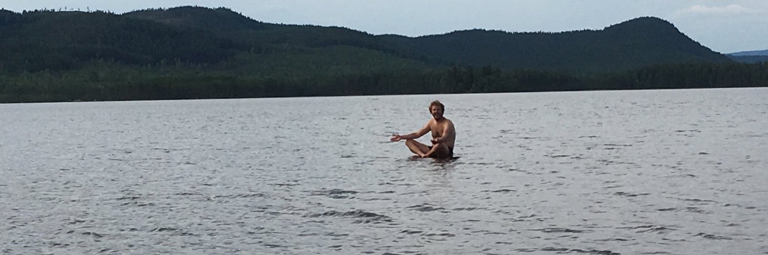 Sebastien Dewaele banner