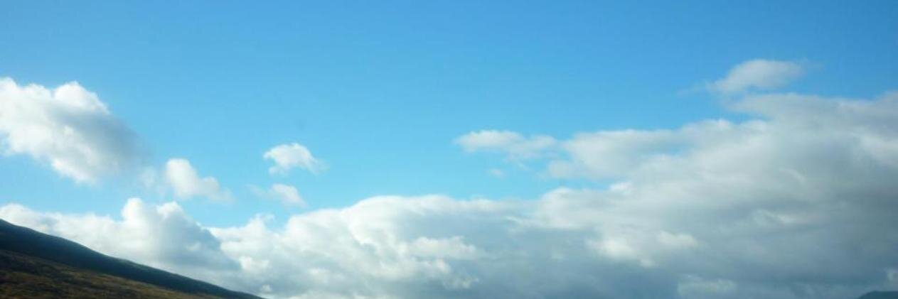 emmasheard's profile banner image